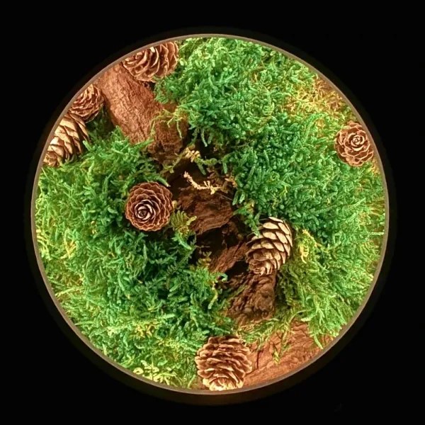 Li-Go 23654 - Decorazione da tavolo LED dimmerabile LED/12W/230V 20x22 cm verde muschio