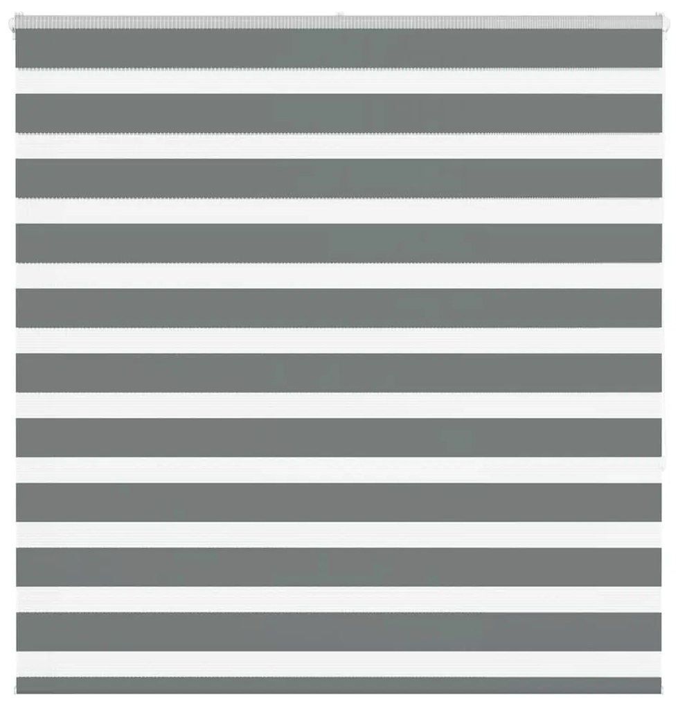 Tenda A Rullo Zebra Larghezza Tessuto 135,9 Cm Poliestere /