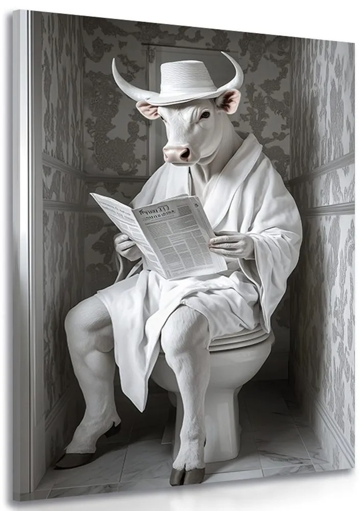 Stampa su tela – Toro bianco con giornali in bagno