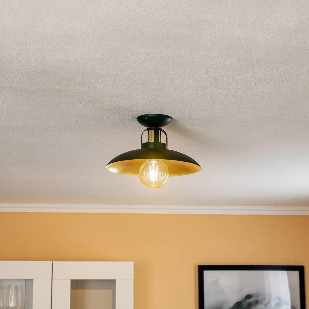Plafoniera soffitto Felix Eko-Light, dimmerabile, Verde, Soggiorno / Sala da pranzo, Metallo, Industriale, Plafoniera