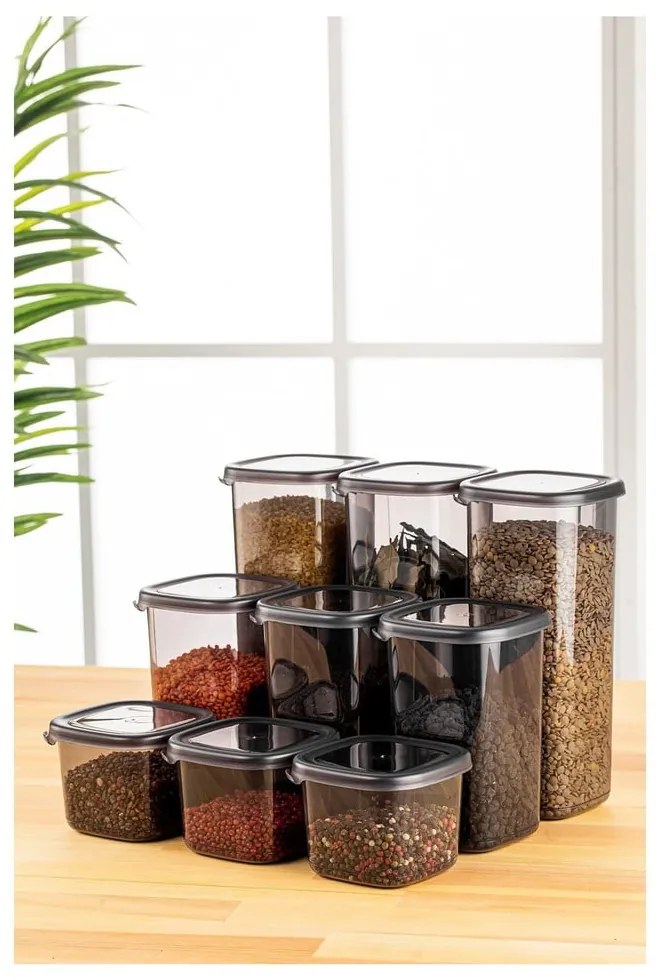 Set di contenitori alimentari 9 pz – Hermia