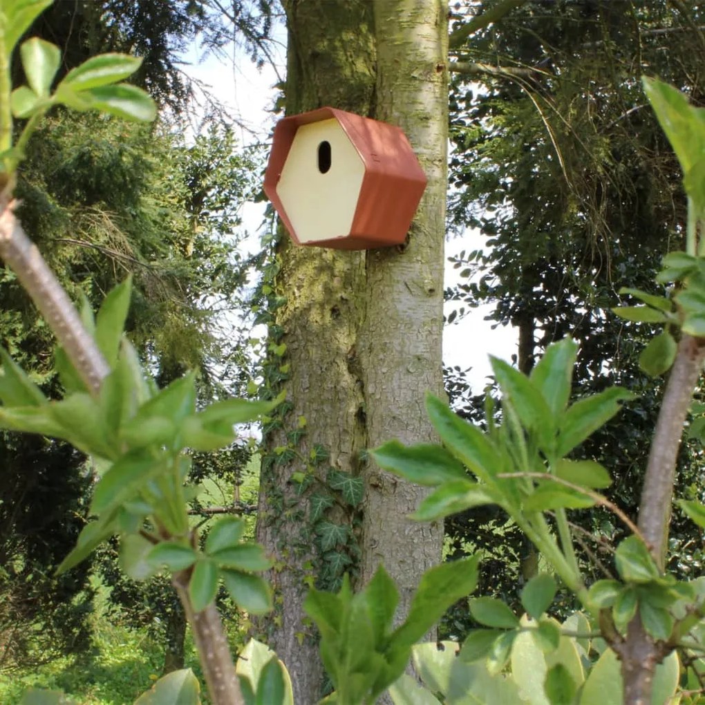 Casetta Per Uccelli Hive 2 19x23x20 Cm Foro Ovale Marrone /