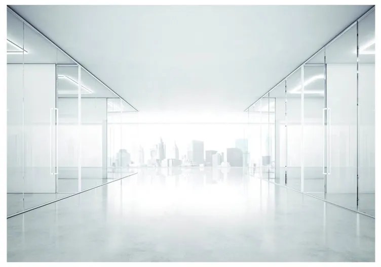 Fotomurale  White City  Colore Grigio, Dimensioni e Misure 150x105