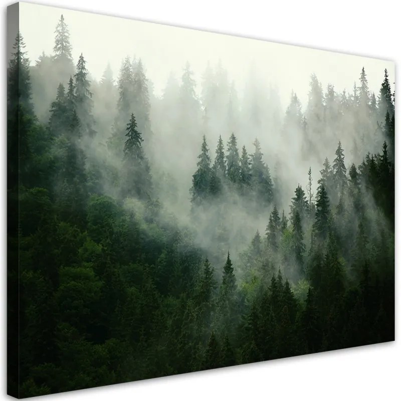 Quadro su tela, Foresta nella nebbia  Dimensioni 60x40