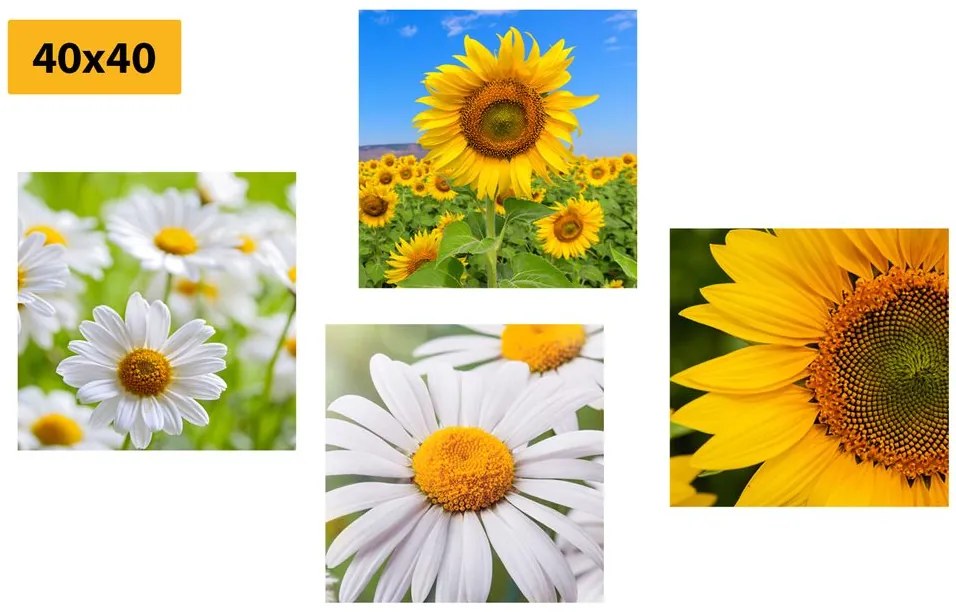 Set di quadri – Splendidi fiori nel prato