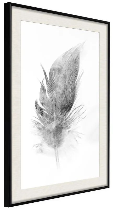 Poster  Lost Feather (Grey)  Cornice Quadri Cornice nera con pass-partout, Larghezza x Altezza Home decor 40x60