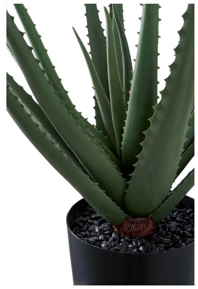 Pianta artificiale (altezza 51 cm) Aloe Vera - House Nordic