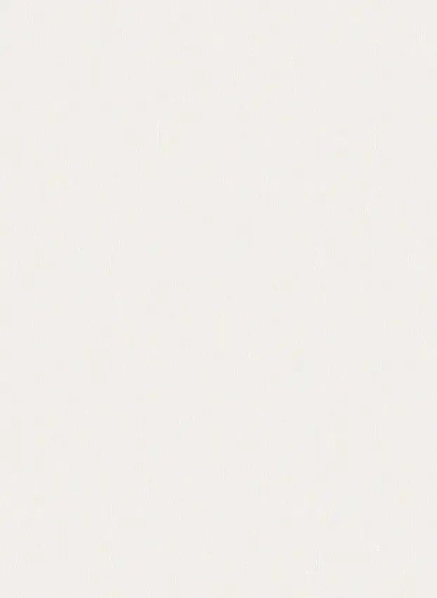 BoråsTapeter Carta da parati Linen - Birch White