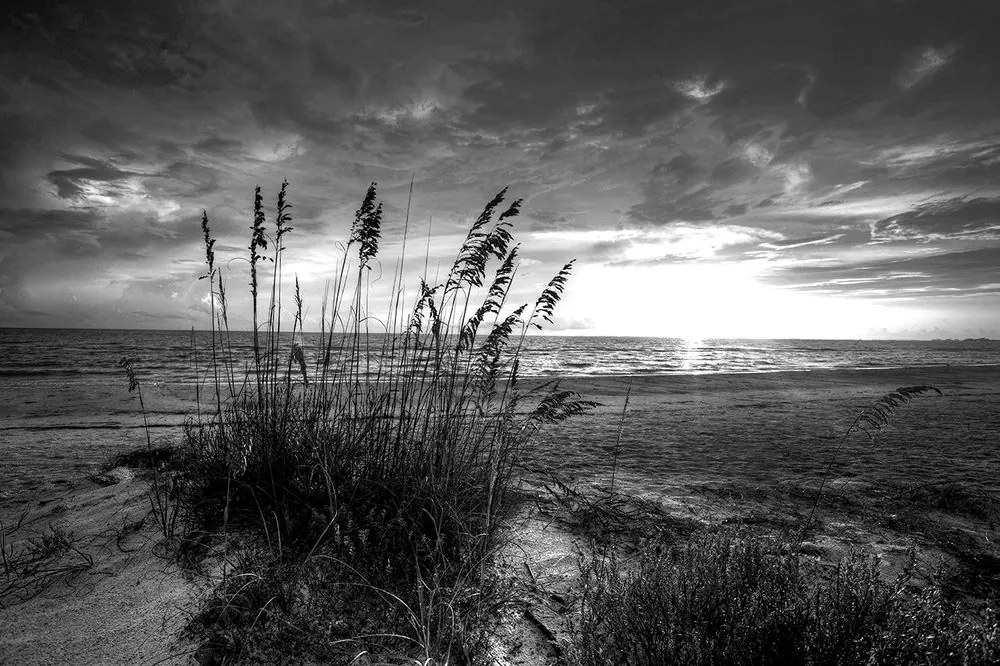 Carta da parati – Tramonto sulla spiaggia in bianco e nero