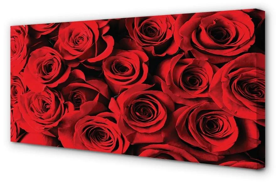 Quadro su tela Rose 100x50 cm