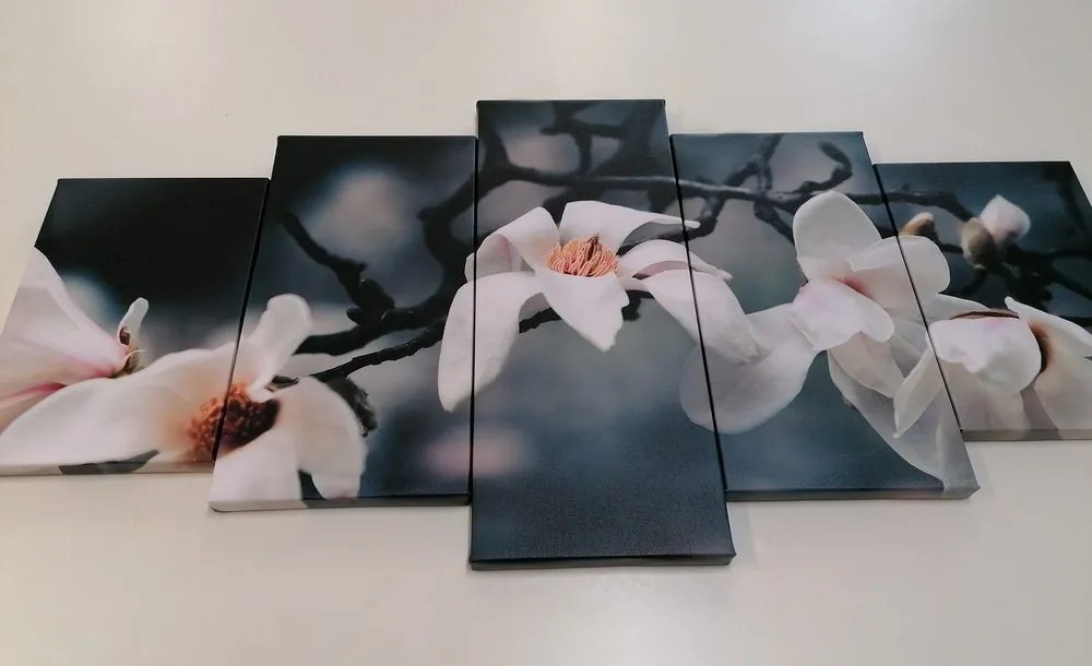 Quadri 5 pezzi – Magnolia che si sveglia