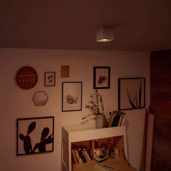 Philips 50491/31/P0-Faretto LED dimmerabile MYLIVING BOX 1xLED/4,5W/230V