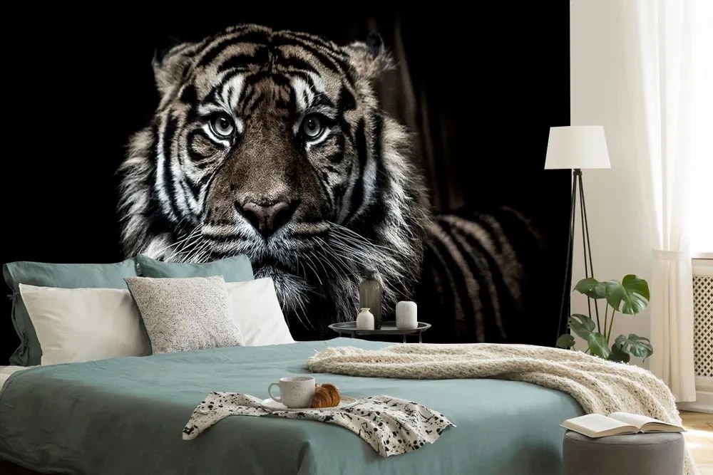 Carta da parati – Tigre