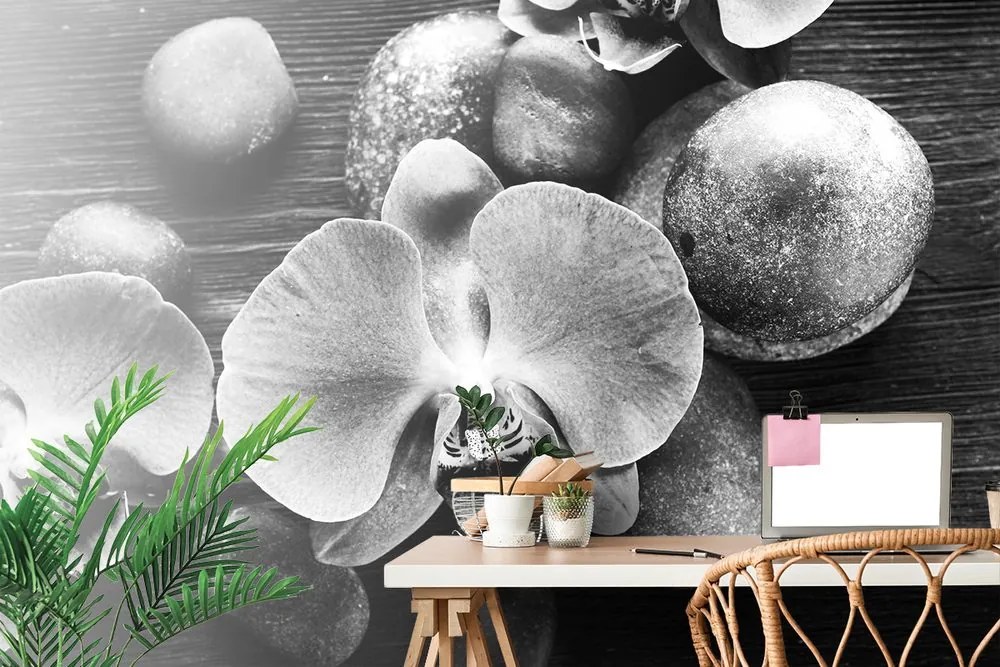 Carta da parati autoadesiva – Orchidea e pietre in bianco e nero