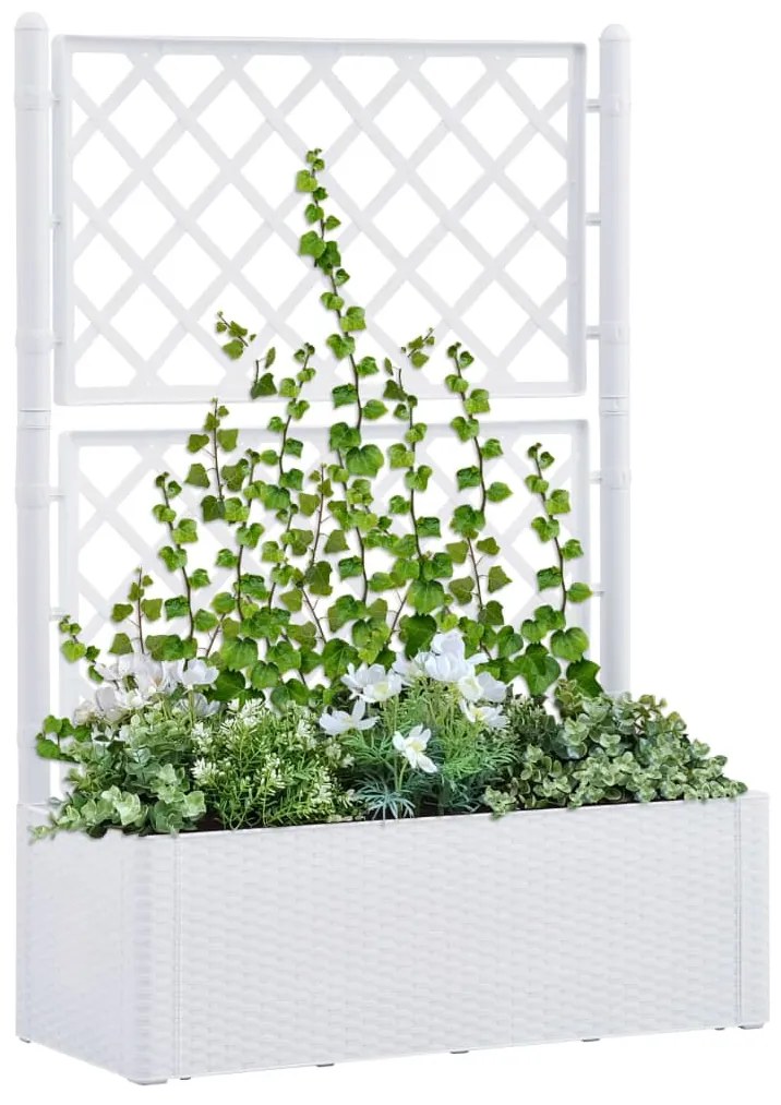 Letto Rialzato Da Giardino Con Graticcio E Irrigazione Bianco /