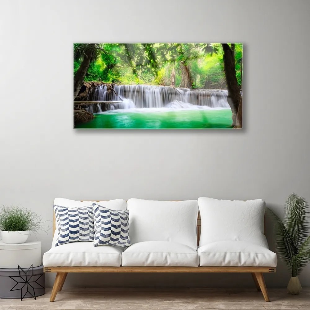 Quadro su vetro Cascata Lago Foresta Natura 100x50 cm