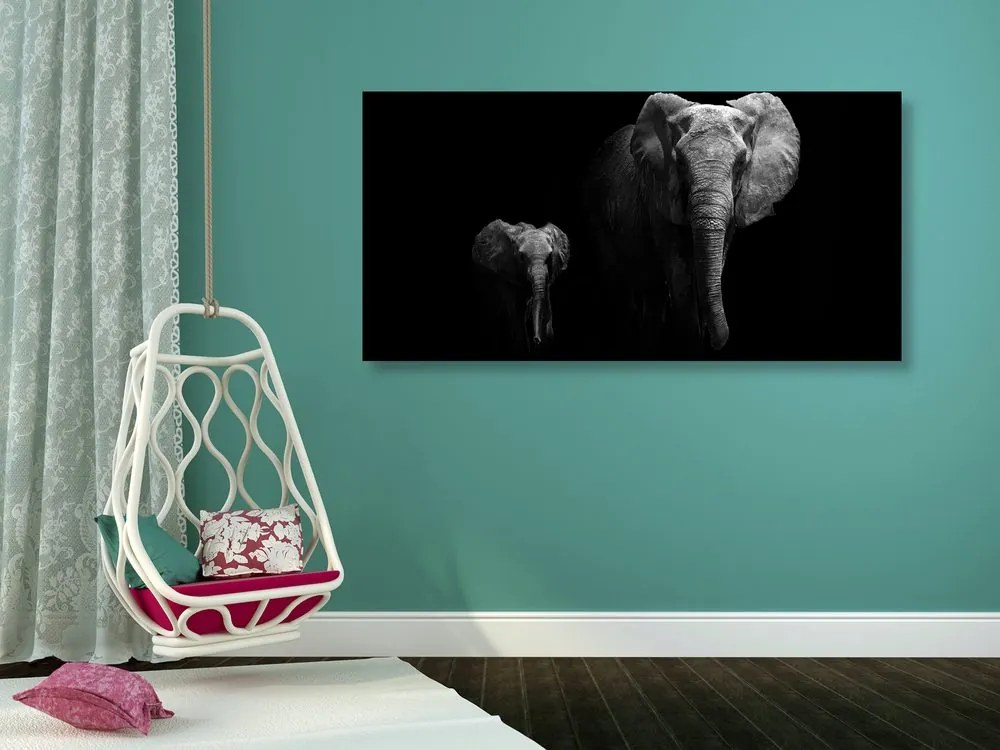 Quadro su tela – Piccolo elefante e elefantessa