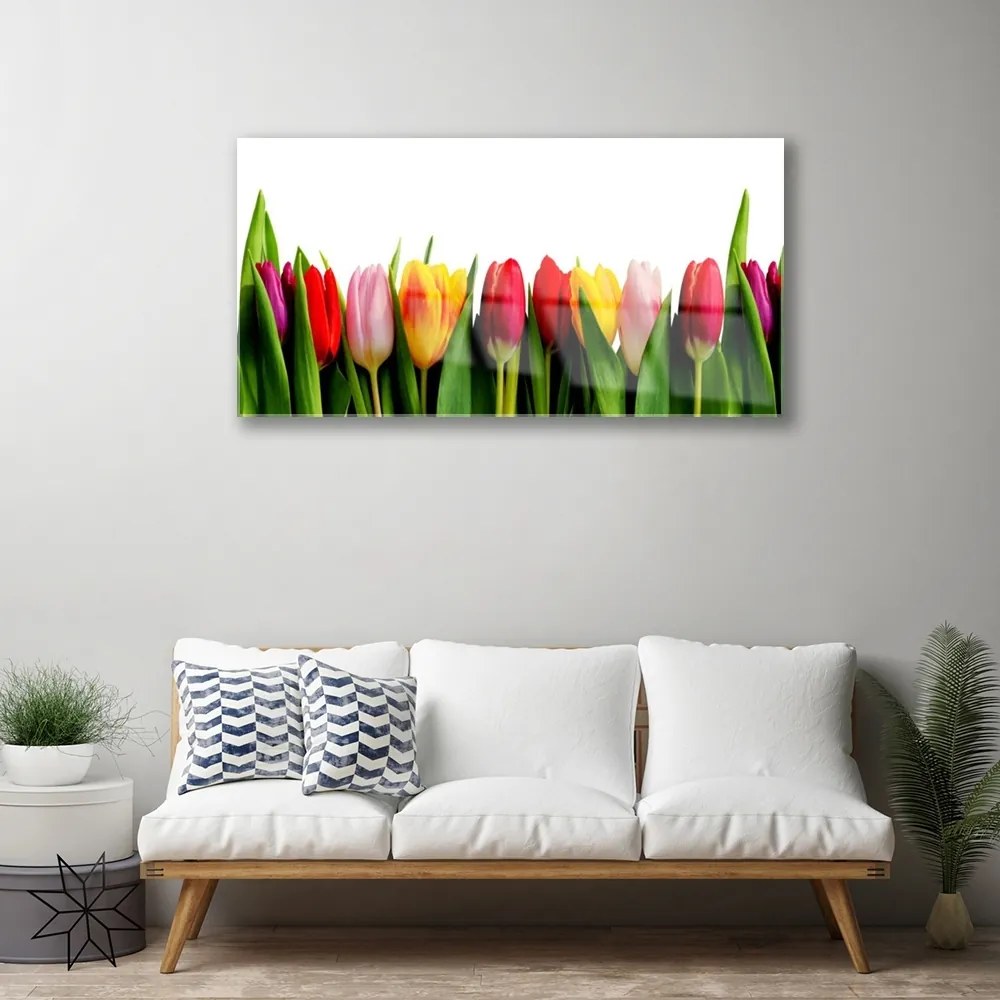 Quadro su vetro acrilico Tulipani Pianta 100x50 cm