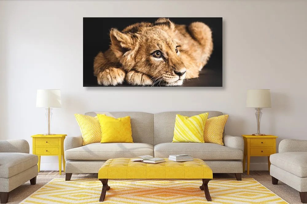 Quadro su tela – Cucciolo di leone