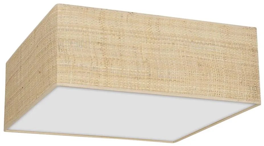 Plafoniera MARSHALL 2xE27/60W/230V