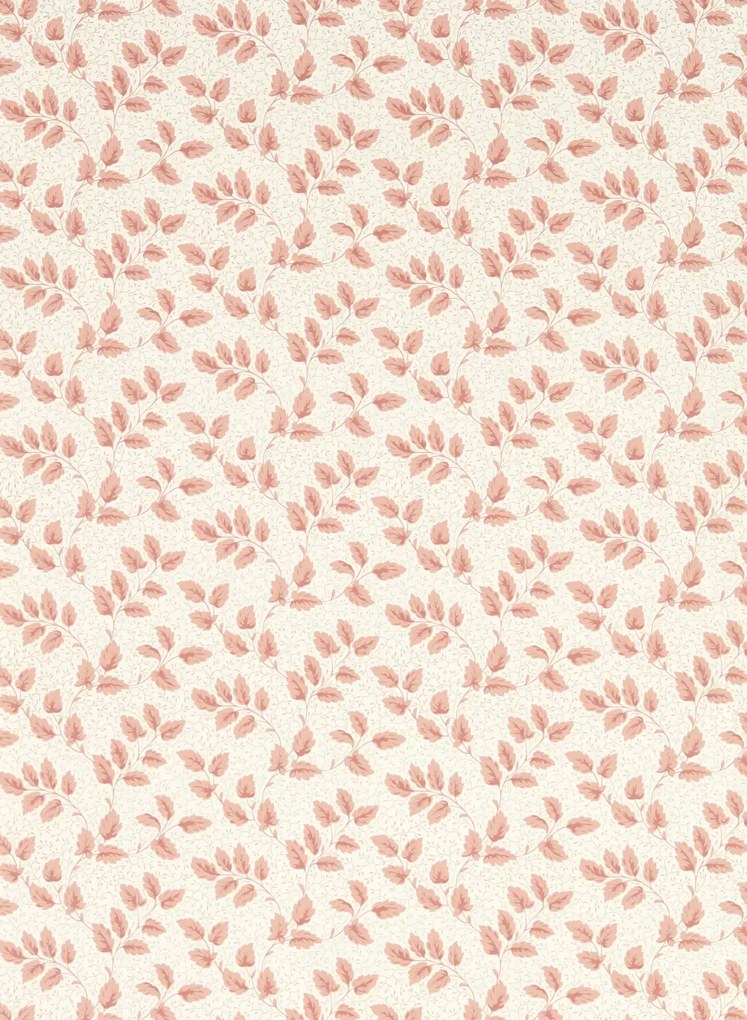Sanderson Tapete Tomato Leaf - Pink Clay