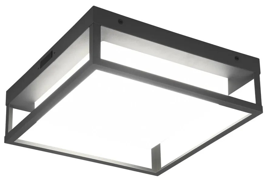 Applique da esterno a LED (altezza 10 cm) Witham - Trio