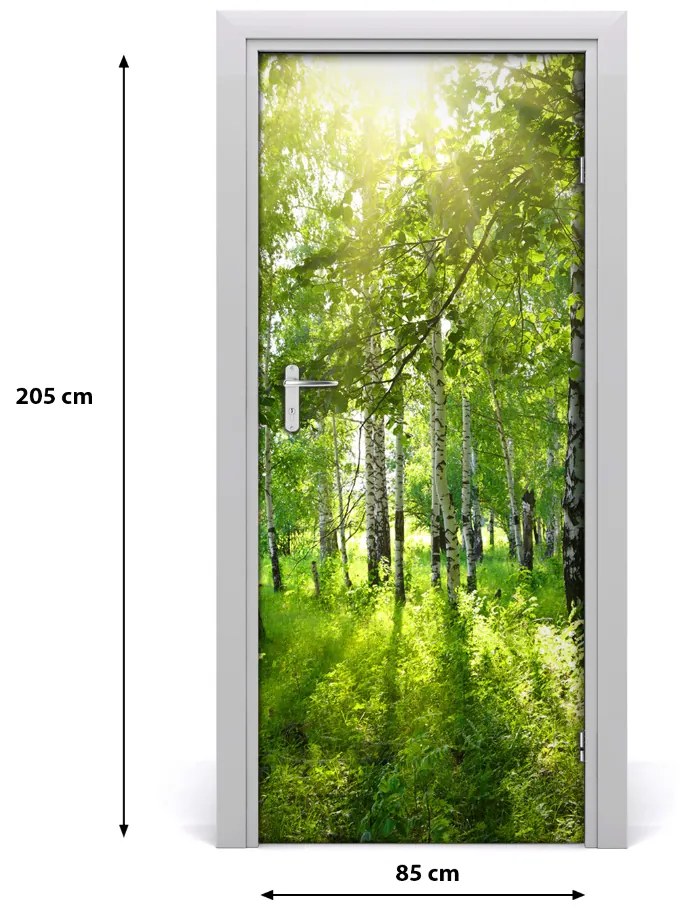 Adesivo per porta Foresta di betulla 85x205 cm
