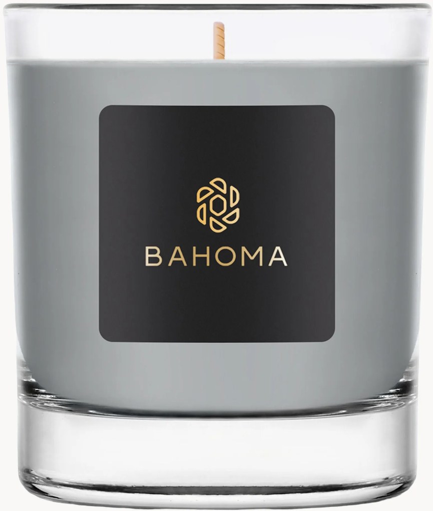 Candela profumata fatta a mano Ash (sale marino, legno secco)