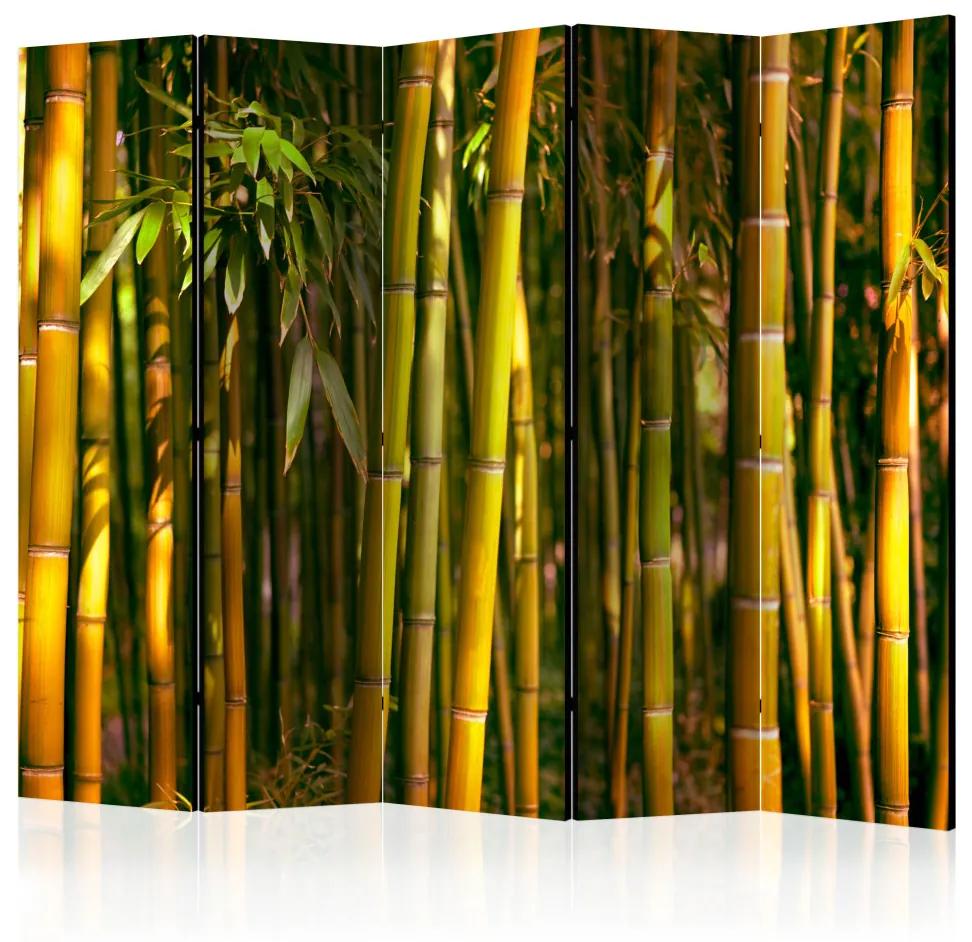 Paravento Sunset Forest II - Paesaggio verde naturale della foresta di bambù