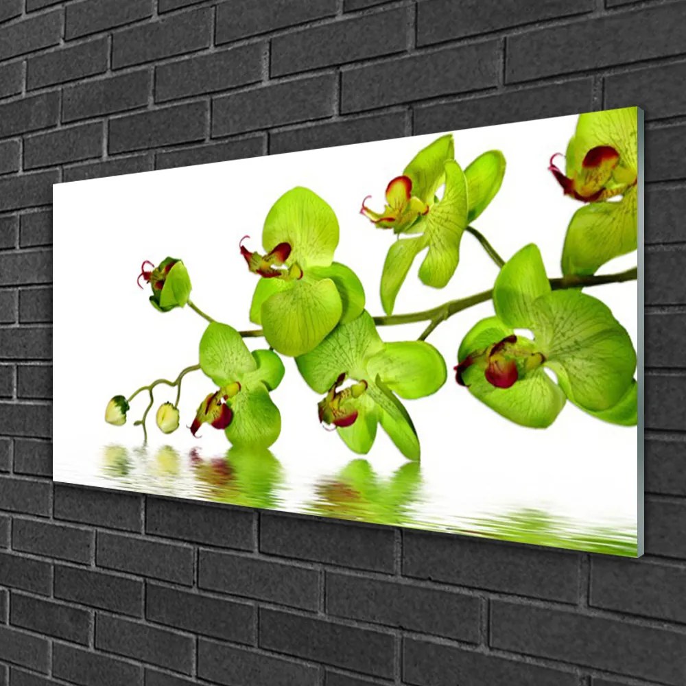 Quadro in vetro Fiori Pianta naturale 100x50 cm