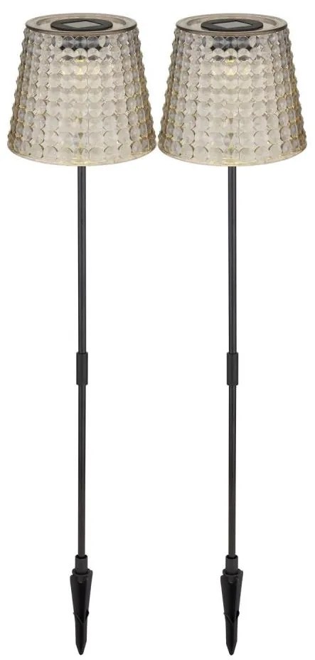 Globo 36635-2S - SET 2x Lampada LED solare SOLAR LED/0,06W/3V IP44 grigio