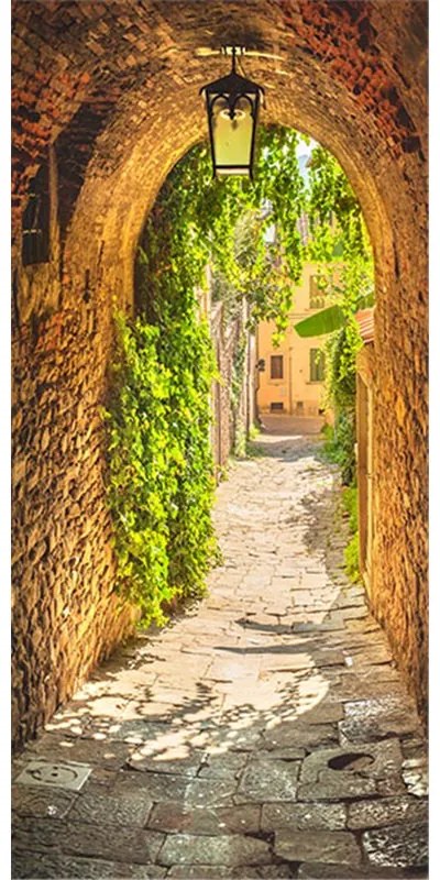 Fotomurale per porta Alley in Italy