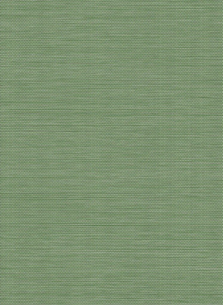 Arte Carta da parati Craft - Pine