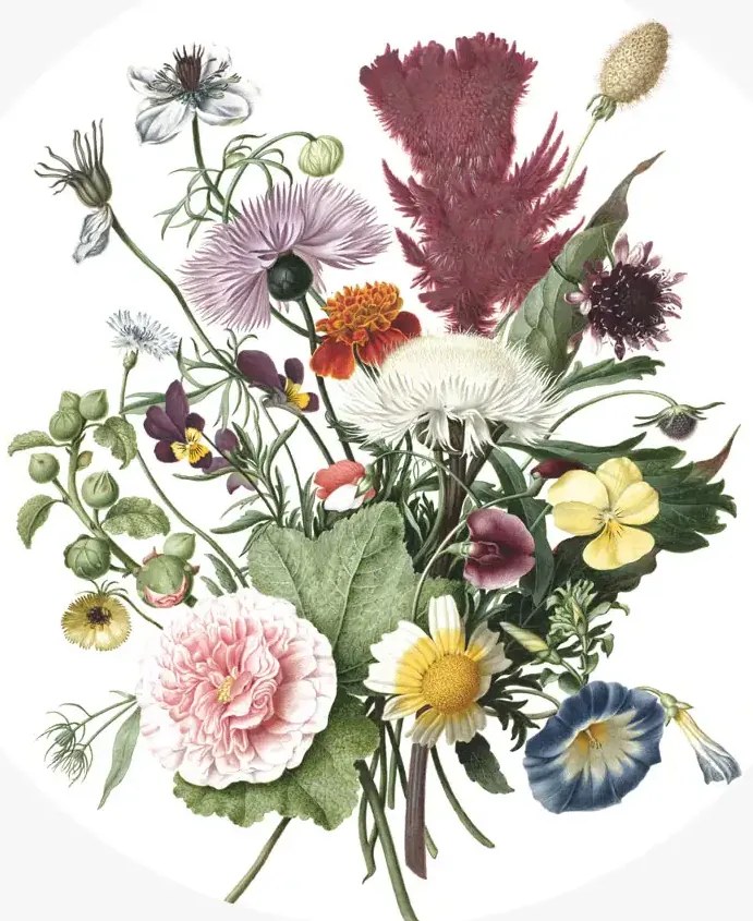 KEK Amsterdam Carta da parati panoramica Wild Flowers Circle - M - 1.9m