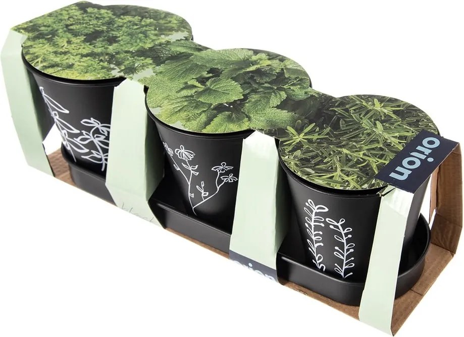 Set di vasi in metallo per erbe aromatiche 3 pz ø 11 cm Black - Orion