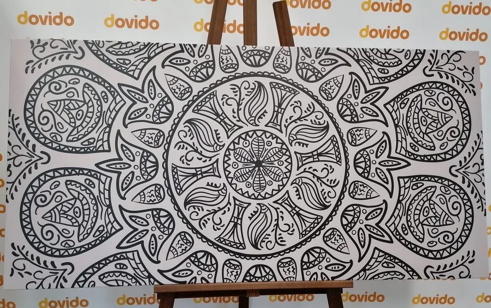 Quadro su tela – Mandala con motivo naturale astratto in bianco e nero