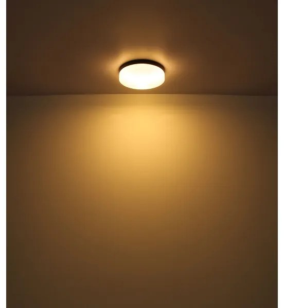 Globo 32112B - Lampada da bagno VRANOS 2xE27/60W/230V diametro 24 cm IP44