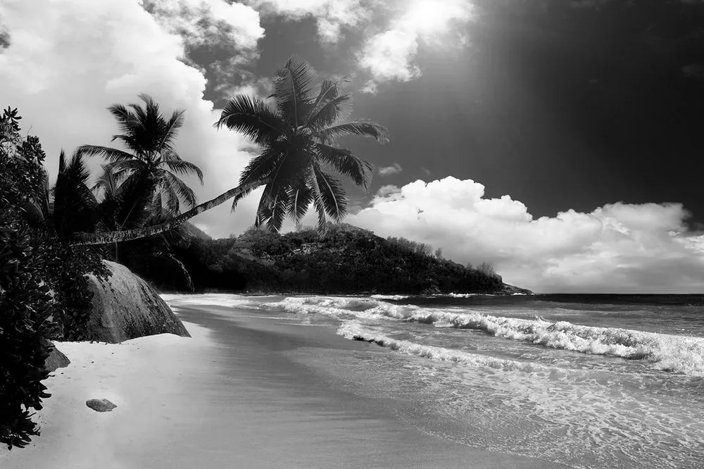 Carta da parati – Spiaggia sull'isola di Seychelles in bianco e nero
