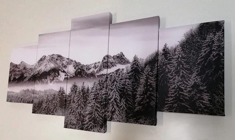 Quadri 5 pezzi – Montagne ghiacciate in bianco e nero