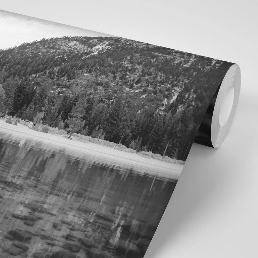 Fotomurale – Lago in bianco e nero circondato dalla natura