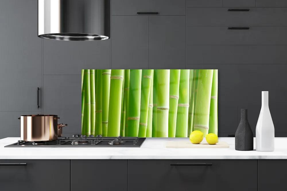 Pannello rivestimento parete cucina Stelo della pianta del fiore di bambù 100x50 cm