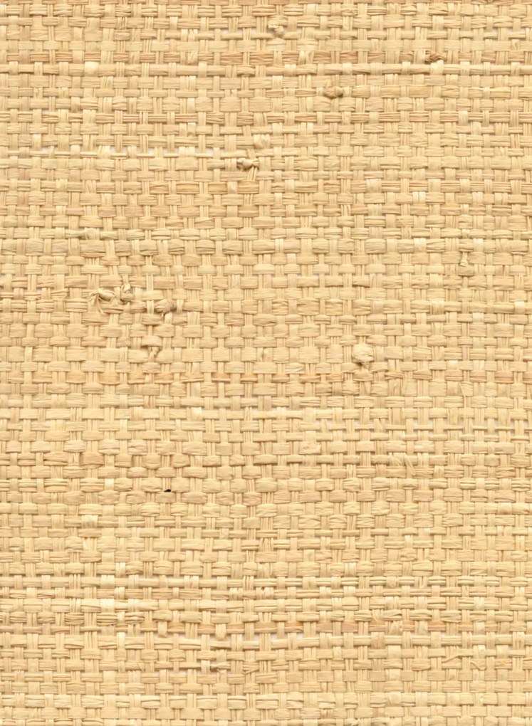 CMO Paris Carta da parati Raphia Pur - Sauvage Miel