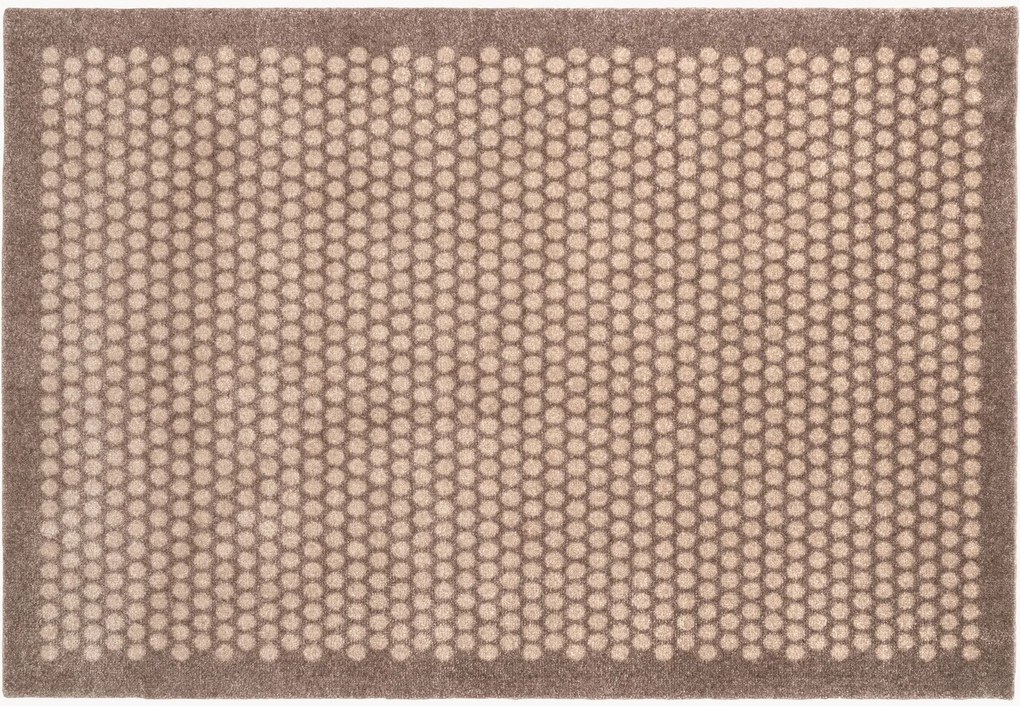 Zerbino Dot