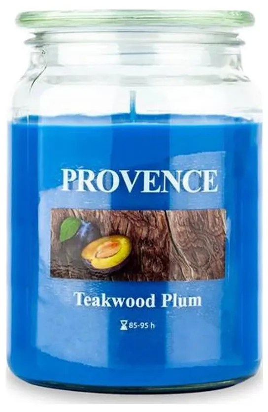 Candela profumata TEAKWOOD PLUM 510g 85-95 ore.