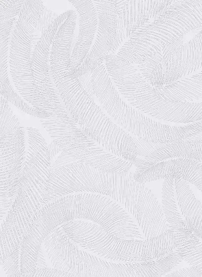 Isidore Leroy Carta da parati Plumes - Anthracite