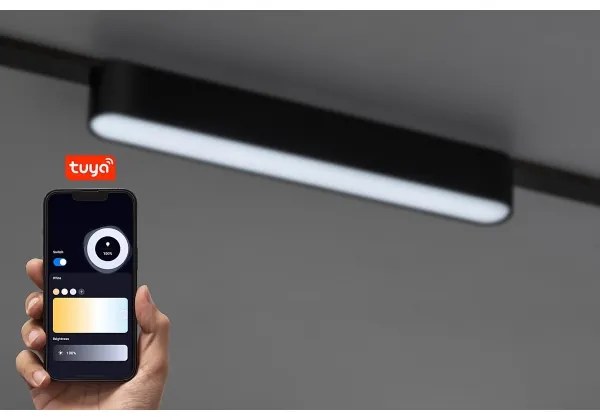 Rabalux 70123-LED Plafoniera dimmerabile per sistema a binario monofase LiTrack 12W/24V 22 cm