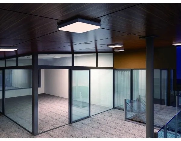 LED2 - Plafoniera LED da esterno QUADO LED/10W/230V antracite IP54