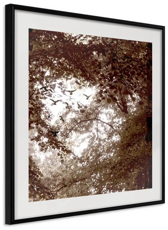 Poster  In the Shade of Trees  Cornice Quadri Cornice nera, Larghezza x Altezza Home decor 20x20