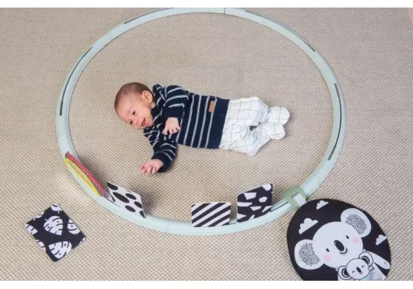 Taf Toys - cerchio attività All Around Me d. 90 cm koala