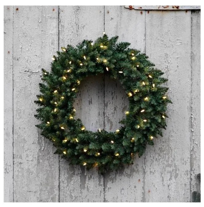 Eglo 410941 - Ghirlanda natalizia a LED per esterni CALGARY 60xLED/0,018W/3/230V IP44